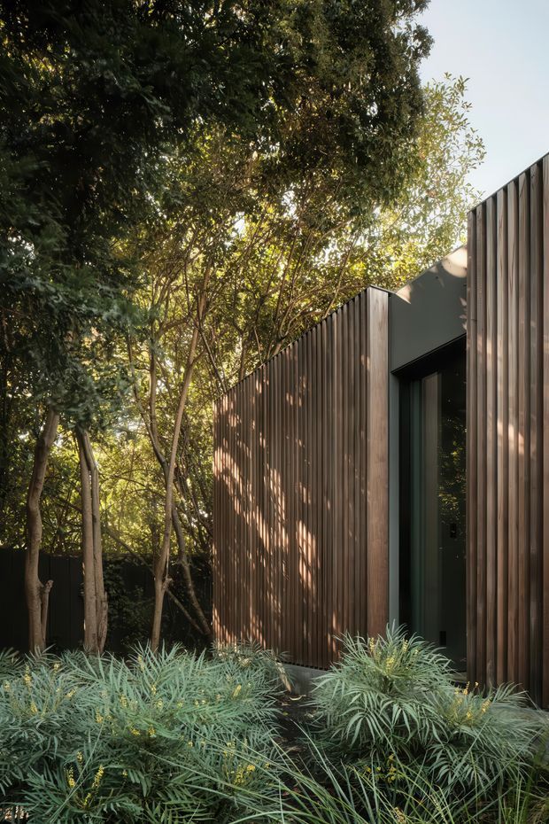 A narrow contemporary building facade nestled among mature trees and dense planting. The exterior is clad in vertically ribbed dark timber or wood-look panels, with a recessed dark glazed entry door and a simple flat roofline. Dappled sunlight filters through the surrounding woodland, while silvery-green shrubs soften the base of the facade.