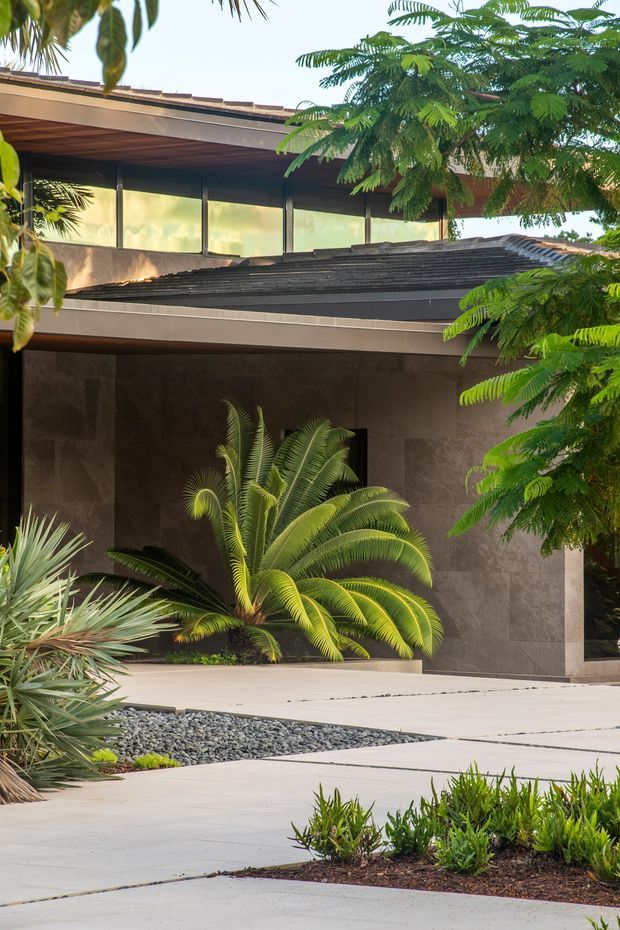 A modern tropical residential facade viewed from the landscaped front approach. The two-storey structure has broad horizontal roof overhangs, dark framed clerestory-style glazing, a low tiled roof section, and large dark stone-clad wall surfaces. Pale concrete paving and a gravel garden bed lead toward the entry, which is surrounded by lush palms and tropical foliage.
