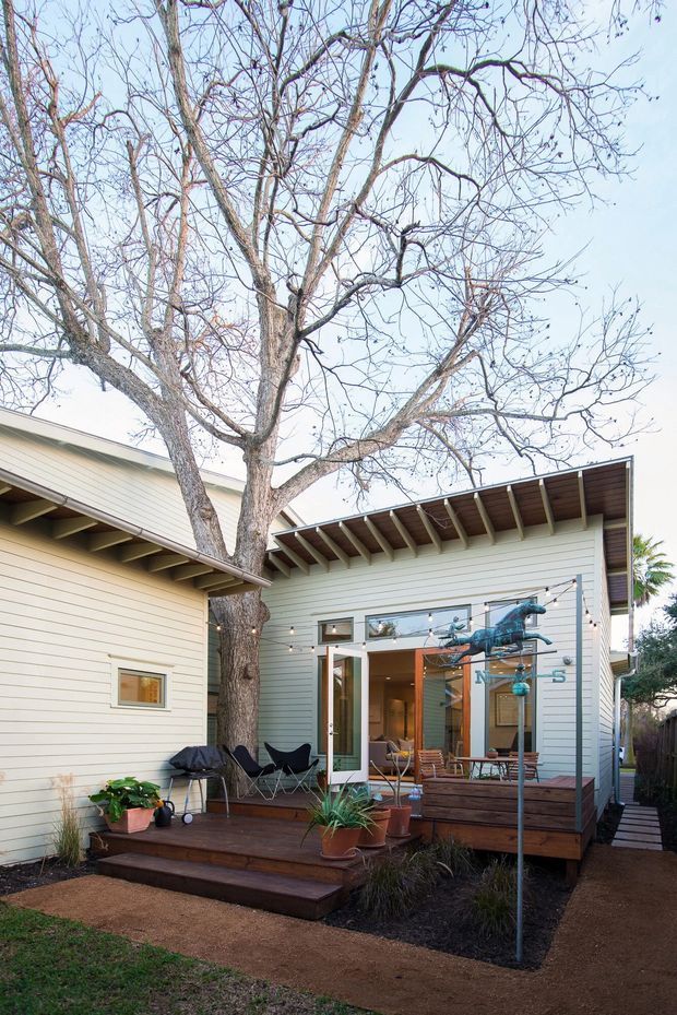 Exterior view of a light-colored, single-storey house with horizontal weatherboard cladding and a contemporary lean-to roof extension. A large mature deciduous tree grows through the deck area, which features dark timber decking, steps, outdoor chairs, potted plants, and string lighting. Glazed doors open into the interior, with a small portion of the living space visible.