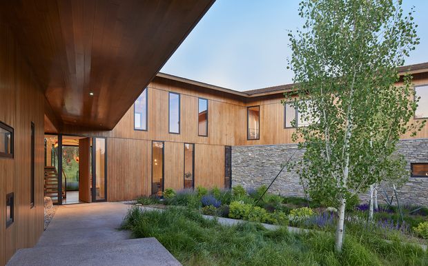 Exterior architectural view of a contemporary courtyard residence. The image shows a warm timber-clad, multi-wing building arranged around a landscaped courtyard, with a deep timber soffit and covered walkway in the foreground. Tall narrow windows, timber-framed glazing, a stone feature wall, concrete paving, and layered grasses and planting are visible. A stair and interior spaces are glimpsed through the entrance glazing.