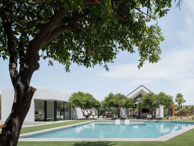 A landscaped residential outdoor area centered on a large rectangular swimming pool, viewed beneath the canopy of a mature tree. The pool is surrounded by pale paved coping and manicured lawn, with a low modern flat-roof pavilion to the left and a larger gabled house or pavilion beyond the pool. Carefully pruned trees, outdoor loungers, and a bright blue sky create a clean, resort-like composition.