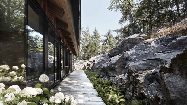 A narrow timber walkway runs alongside a contemporary building with extensive dark-framed floor-to-ceiling glazing and exposed timber roof structure. The path is bordered by a rugged natural rock outcrop, ferns, and white flowering plants, creating an integrated architecture-and-landscape composition in a wooded setting.