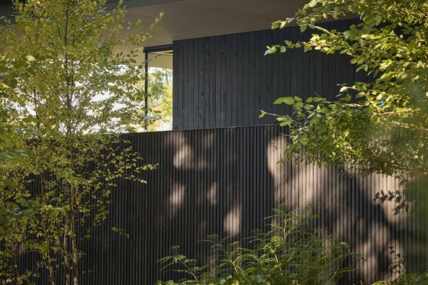 Exterior architectural detail of a modern building partially screened by mature planting. The facade is composed of dark, vertically ribbed cladding or battens, with a projecting upper volume, deep roof overhang, and a large glazed opening visible behind the trees. Dappled sunlight creates a calm, sheltered woodland setting.