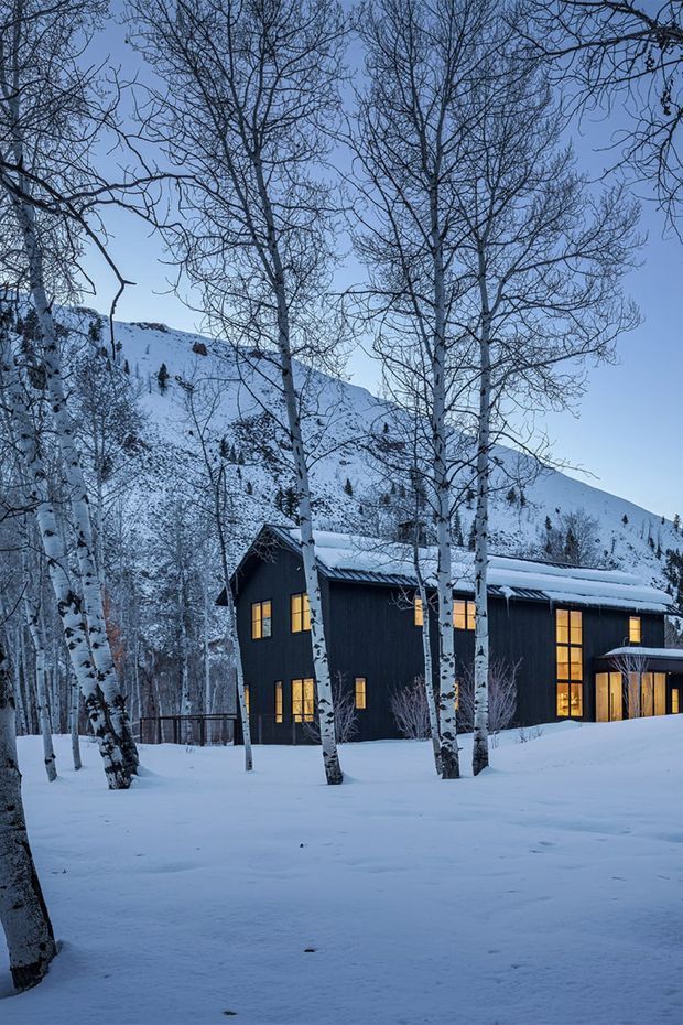 A dark, modern multi-level house with a simple pitched roof sits in a snowy mountain landscape, partially screened by slender birch trees. Warm light glows through tall rectangular windows and glazed doors, contrasting with the cool blue snow and surrounding forested slopes.