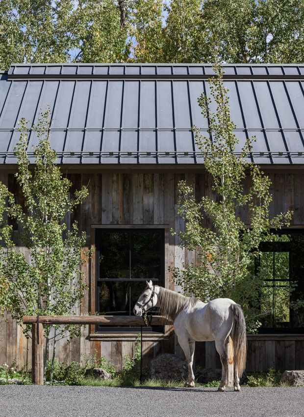 Exterior view of a rustic, barn-like building clad in weathered vertical timber boards, with a prominent dark standing-seam metal roof and large black-framed glazed openings. Young trees and a horse are in front of the structure, with a gravel foreground and wooded surroundings.