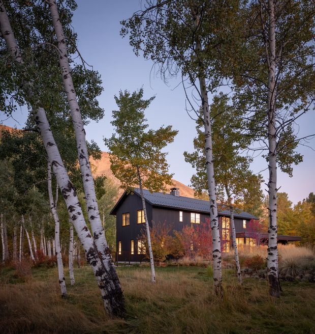 Exterior view of a dark-clad, multi-storey house nestled among slender white-barked trees, with a pitched metal roof, warm illuminated windows, surrounding grasses and autumn foliage, and a rugged mountain slope visible behind it.