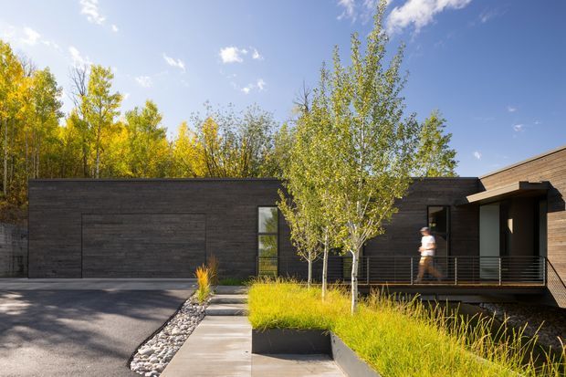 A low, contemporary single-storey residence set among mature deciduous trees. The dark horizontal cladding creates a long, minimalist facade with a recessed entry and covered porch, while a lighter timber-clad projecting volume appears at right. A paved walkway, linear raised garden beds, ornamental grasses, and a gravel drainage strip define the approach. The image is photographed from outdoors and focuses on the home's exterior.