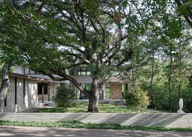 A modern low-rise residence nestled among mature trees, viewed from the street through a landscaped front garden. The house has strong horizontal lines, flat roof sections, extensive dark-framed glazing, pale masonry or concrete walls, and warm timber-toned vertical cladding around the entry. A large established tree dominates the foreground, with stepped pale retaining walls and dense greenery creating a secluded, integrated setting.