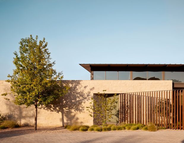 A low, modern residential building viewed from the street, featuring a long flat roof with deep overhang, expansive upper-level glazing, warm tan rendered masonry walls, and a vertical timber slat screen enclosing the entry or frontage. A mature deciduous tree, gravel planting, and paved forecourt soften the minimalist facade. The composition has strong horizontal and vertical lines with warm late-day light.
