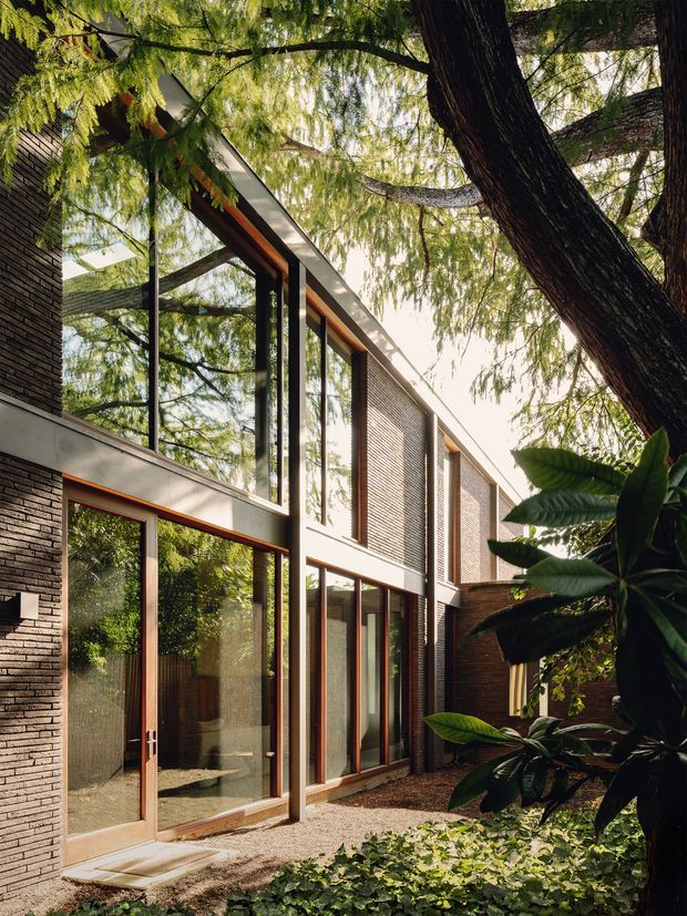 A contemporary two-storey brick residence arranged around a leafy courtyard. The facade combines dark narrow brickwork, extensive floor-to-ceiling glazing, slender dark metal framing, and warm timber door and window reveals. Mature trees and dense planting surround the sheltered gravel courtyard, creating a strong connection between the interior and garden.