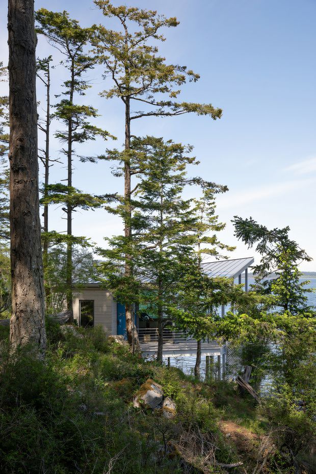 A wooded hillside setting with tall mature trees framing a modern house partially visible through the vegetation. The dwelling features a light-coloured exterior, blue door, broad deck or balcony with dark horizontal railings, and a sharply angled metal roof. A body of water is visible beyond the house, creating a secluded waterfront woodland context.
