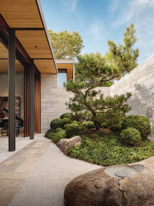 A serene landscaped courtyard beside a contemporary house, featuring a sculptural pine tree, clipped shrubs, groundcover, large natural boulders and pale paved walkways. The building has strong horizontal lines, dark slender window and door frames, warm timber soffits, and light masonry walls. The view is bright and tranquil, with indoor living space visible through open glazing at the left.