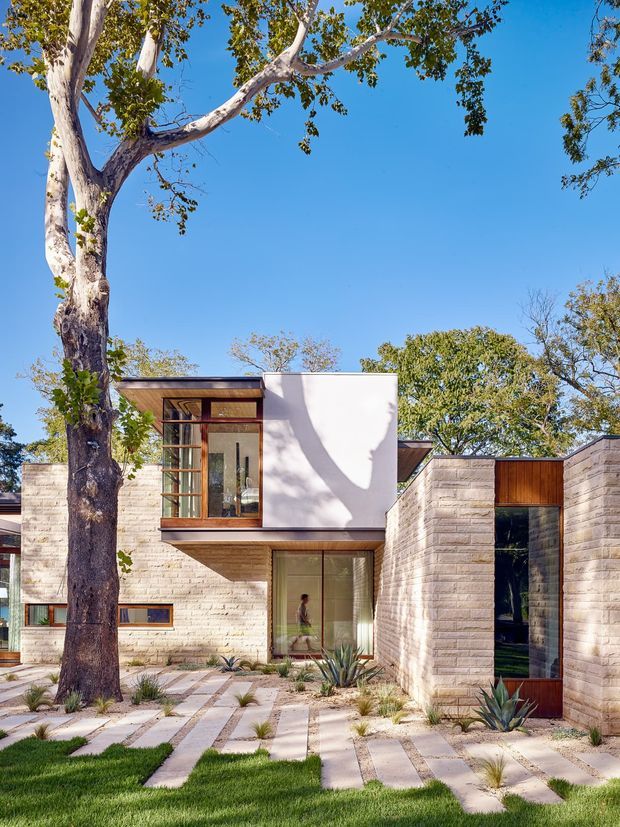Exterior view of a contemporary low-rise residence framed by a mature tree, with pale horizontal masonry walls, warm timber-framed glazing, projecting box-like volumes, and a flat roofline. A landscaped foreground includes a lawn, pale stepping pavers, gravel, and drought-tolerant plantings. Strong sunlight creates defined tree shadows across the facade.