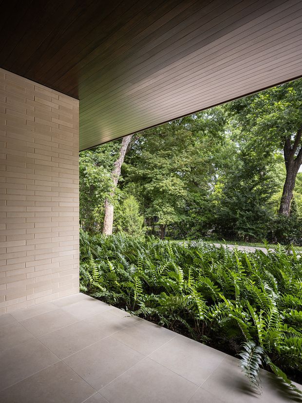 A covered, open-sided outdoor terrace or porch with a large tiled floor, pale tan brick wall, and broad timber-lined soffit. Dense fern planting and mature trees border the terrace, creating a sheltered connection to a lush garden. The view highlights strong horizontal roof planes, natural materials, and an indoor-outdoor transition.
