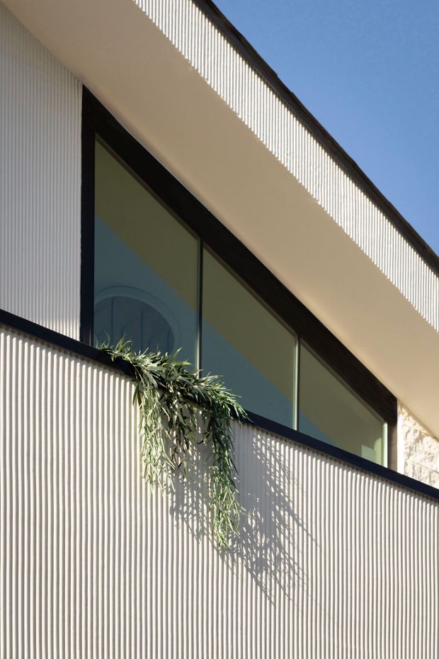 Close-up exterior architectural view of a contemporary building facade in bright sunlight. The facade features pale vertically ribbed cladding, dark slim window and door frames, a long horizontal band of glazing, and a projecting upper volume. A cascading plant softens the ribbed balcony or screen wall, with blue sky visible behind the roofline.