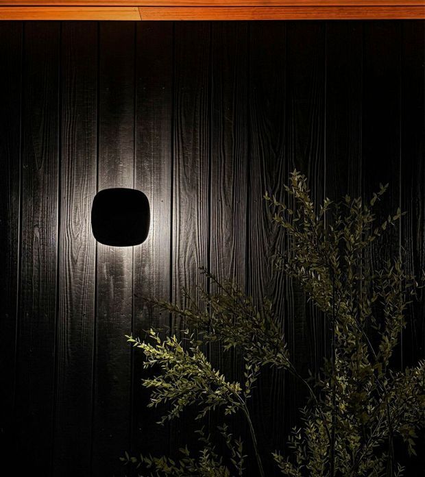 A moody close-up of a dark vertically grooved timber wall, illuminated by a small rounded-square wall light. A warm-toned timber trim runs along the top edge, while leafy branches partially obscure the lower right portion of the facade. The composition is dramatic and textural, focused on exterior wall detailing and lighting.