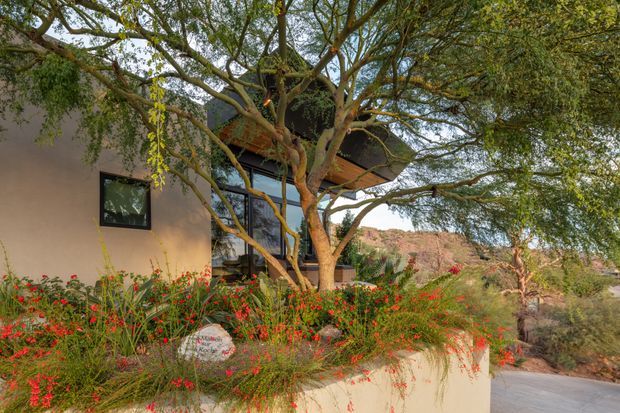 Exterior view of a contemporary desert residence partially screened by mature trees and flowering landscaping. The building has smooth earth-toned walls, dark-framed glazing, and a projecting angular roof or upper-level form. A low stucco planter wall defines the landscaped edge, with reddish rocky terrain visible beyond.