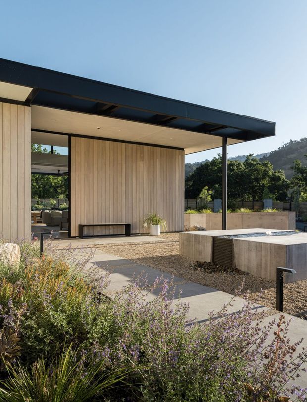 A contemporary single-storey home viewed from a landscaped courtyard, featuring a flat projecting dark roof, warm vertical timber wall cladding, extensive glazing, concrete paving and a raised rectangular water feature or pool. Native-style planting and gravel surround the outdoor space, with wooded hills visible beyond.
