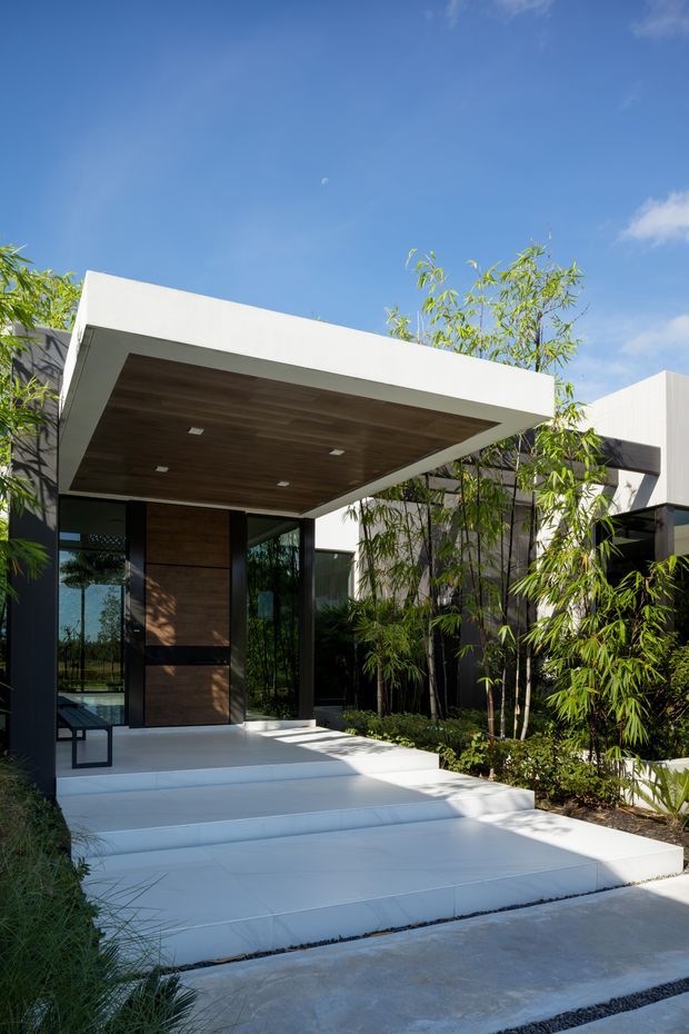 Exterior view of a contemporary residence entrance, featuring a large flat projecting canopy with a wood-lined soffit, dark-framed glazing, a timber front door, white rendered wall planes, broad pale tiled steps and lush bamboo landscaping.