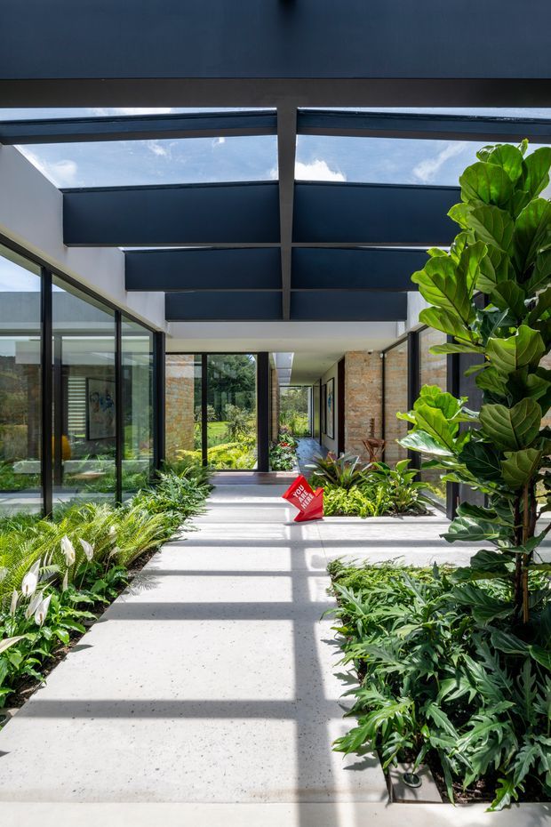 A bright, lushly planted indoor-outdoor passage or atrium with a pale concrete walkway, extensive built-in garden beds, full-height black-framed glazing, exposed brick walls, and a dark steel-framed roof with translucent skylight panels. Strong sunlight creates geometric shadows across the path, while mature tropical foliage fills both sides. The space connects glazed rooms and an outdoor garden beyond.