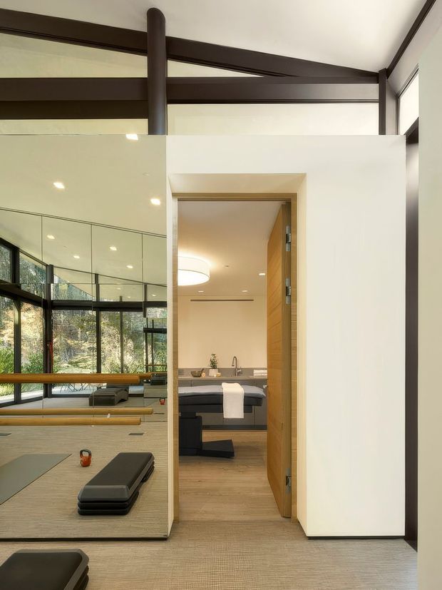 A contemporary open-plan interior with a compact bathroom visible through a timber door. The foreground includes a large mirrored wall, dark exposed steel beams and posts, floor-to-ceiling glazing, timber flooring, and exercise equipment, suggesting a home gym adjoining the bathroom. The bathroom has a floating dark vanity, basin, wall mirror, warm timber door, and neutral finishes.