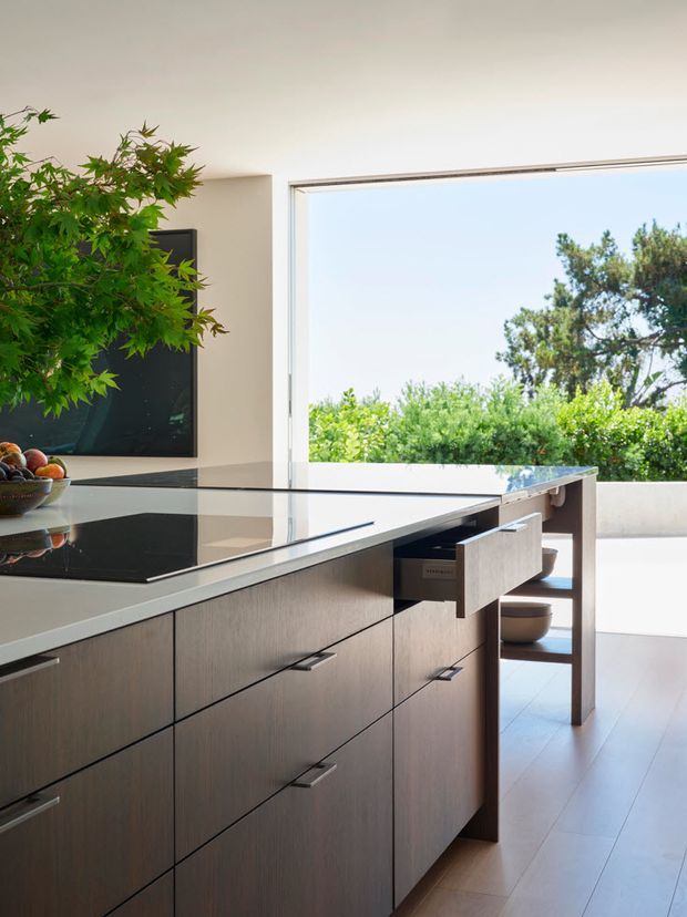 Bright contemporary kitchen interior dominated by a large island with dark veined stone benchtops and integrated timber-toned cabinetry. A black glass induction cooktop sits in the foreground, with sleek horizontal metal handles and a partially open drawer. Floor-to-ceiling glazing opens toward a leafy outdoor setting, while a large indoor tree and wall-mounted dark panel add visual contrast. The space has a clean, refined, indoor-outdoor character.