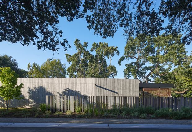 A low, contemporary residential building viewed from the street, partially screened by a vertical timber fence and landscaped planting. The facade features pale vertical timber cladding, a dark horizontal roof or fascia element, and a narrow projecting dark architectural detail. Mature trees surround the property under a clear blue sky.