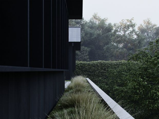 A moody architectural exterior view along the side of a dark, vertically clad building. A narrow elevated walkway or linear concrete edging runs through ornamental grasses beside dense hedging and mature trees. The composition emphasises the stark black facade, crisp horizontal roof projections, and integration with landscaped surroundings.