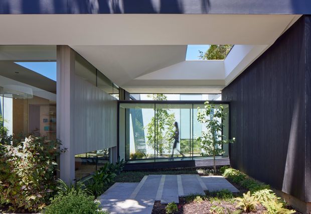 A contemporary residential courtyard or entry passage framed by glass walls, deep white concrete roof planes, and a dark vertical timber-clad wall. A central skylight brings sunlight into the covered walkway, while a paved path, planted garden beds, and reflective glazing create a calm indoor-outdoor connection. A distant figure is visible through the glazing.