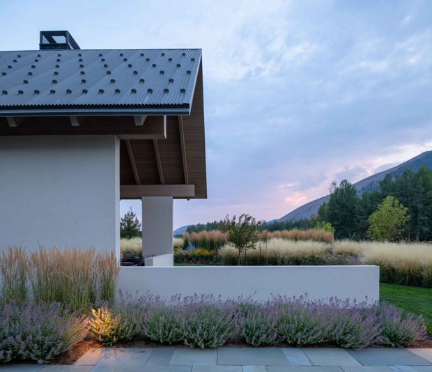 Exterior view of a contemporary single-storey building with a broad corrugated metal roof, deep timber-lined eaves, white rendered walls, and a sheltered outdoor terrace or courtyard. Ornamental grasses and lavender-style planting frame a paved path, with a mountainous landscape visible in the background at dusk.