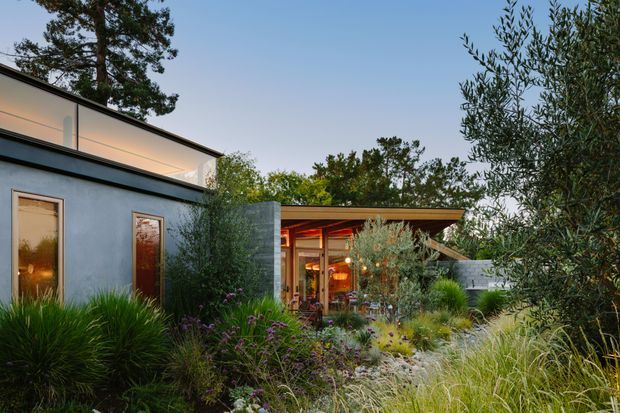 A contemporary single-storey residential exterior viewed from a landscaped garden. The house has smooth grey rendered walls, narrow vertical timber-framed glazed doors, a low-slung roof with a glazed upper section, and a warm timber-lined outdoor living area beneath a broad flat roof overhang. Dense ornamental planting, grasses, shrubs, and mature trees surround the building.