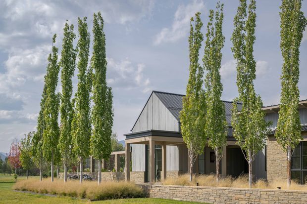 A contemporary low-rise building viewed from landscaped grounds, featuring a steep metal gable roof, pale vertical cladding, warm stone veneer walls, dark-framed glazing, and a covered entry or terrace. Tall slender poplar trees and ornamental grasses frame the facade, with a low stone retaining wall in the foreground and distant hills visible at the side.