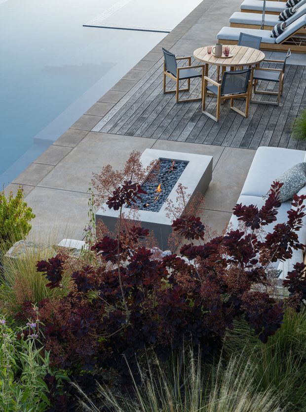 A landscaped poolside terrace viewed from above, featuring a dark timber deck, pale concrete paving, a small round outdoor dining table with chairs, sun loungers, upholstered outdoor seating, and a rectangular gas fire pit. Ornamental grasses and burgundy foliage fill the foreground, creating a refined contemporary outdoor entertaining setting.