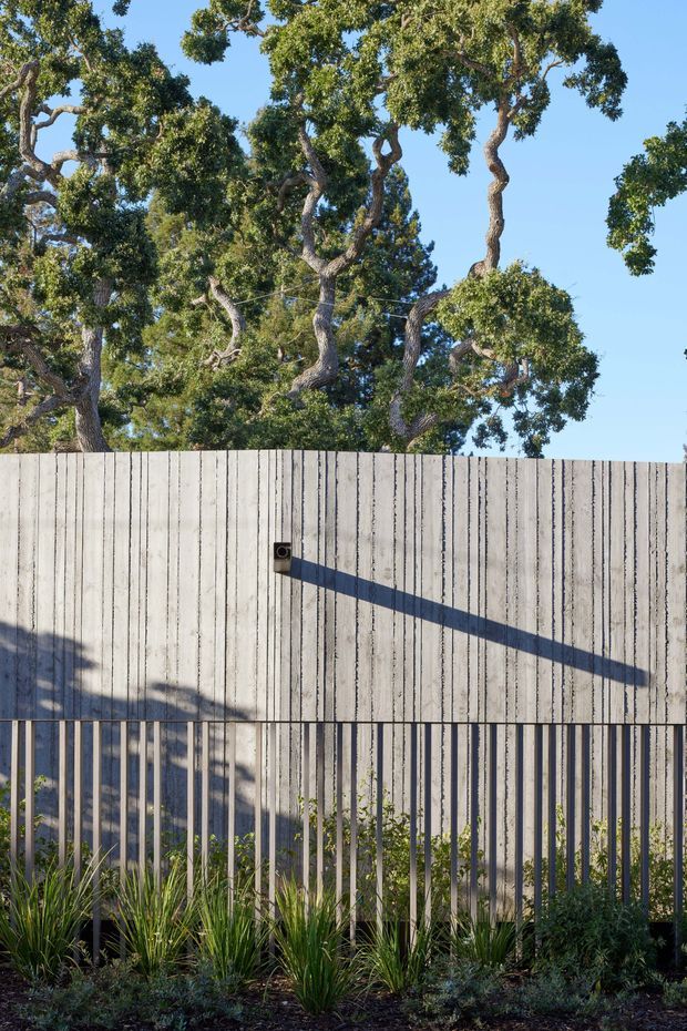 A landscaped exterior boundary featuring a tall, pale grey vertically textured concrete wall with a narrow black wall-mounted light casting a long diagonal shadow. A dark vertical-bar metal fence runs along the lower section, backed by low ornamental planting and mature leafy trees against a clear blue sky.