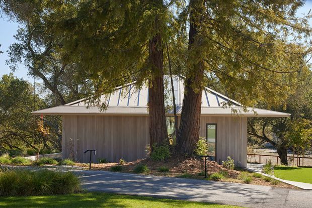A low, modern pavilion-like building set within a landscaped garden, viewed from the exterior. The structure has a broad shallow hipped roof with prominent eaves, vertical grey cladding, narrow dark-framed windows, and a central glazed roof element partly obscured by mature trees. Paved paths and lawn surround the building.