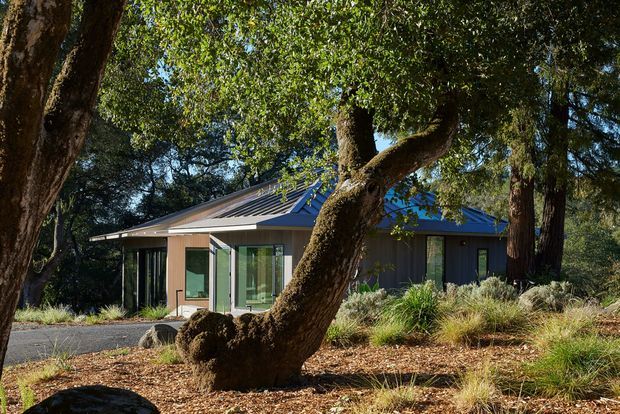 Exterior view of a low-profile contemporary house nestled among mature trees and native-style landscaping. The building has dark vertical cladding, large glazed openings, and a shallow pitched metal roof with projecting eaves. A paved driveway or walkway runs in front, while established vegetation and tree trunks frame the dwelling.
