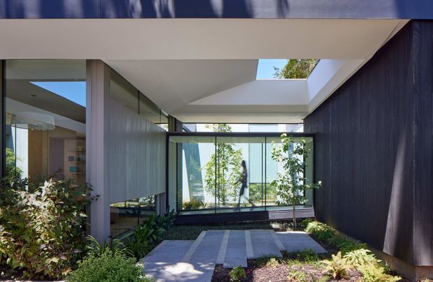 A contemporary residential courtyard or entry garden framed by dark vertical cladding, large floor-to-ceiling glazing, and strong horizontal roof planes. A paved path crosses low, layered planting toward a glazed interior, while a large skylight and clerestory-style openings bring daylight into the sheltered space. The composition emphasizes indoor–outdoor connection, clean geometric lines, and natural light.