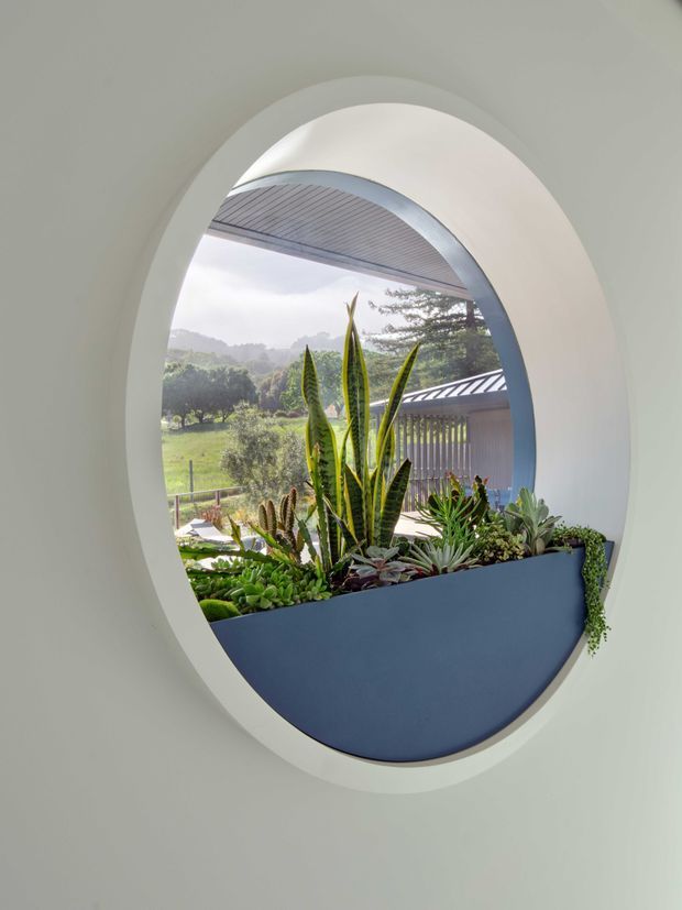 A close-up architectural view of a large oval opening in a smooth pale wall, framing a built-in blue planter filled with succulents and tall snake plants. The opening looks onto a covered outdoor area with a slatted ceiling and a landscaped rural garden beyond. The composition is minimalist and sculptural, with soft natural light and curved forms.