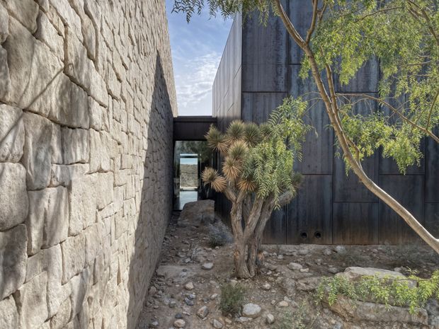 A narrow landscaped passage between two contrasting architectural walls: a rough, light natural-stone masonry wall on the left and a dark, vertically ribbed metal-clad wall on the right. A mature sculptural desert plant, small tree, exposed rocks, and gravel create a restrained xeric courtyard landscape. A dark connecting roof or bridge spans the passage in the background, with a glazed opening beyond.