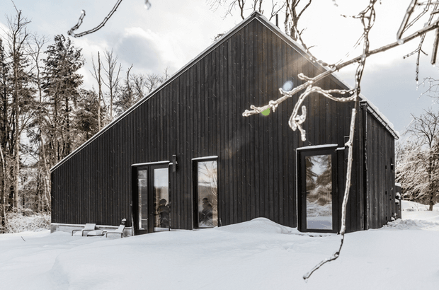 A minimalist dark-clad gable-roofed house or cabin set in a snowy forest. The simple rectangular form has near-black vertical timber cladding, a steep triangular gable, and several tall glazed doors or windows opening toward the snow-covered foreground. Bare and snow-dusted trees surround the building, creating a stark winter woodland setting.