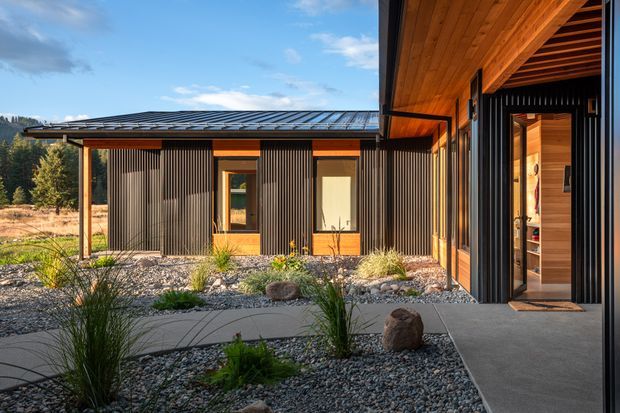 A modern single-storey building viewed from a sheltered entrance courtyard. The composition features dark vertically ribbed exterior cladding, warm timber soffits and door reveals, a low-profile metal roof, large glazed openings, and a landscaped gravel garden with curved concrete stepping paths and ornamental grasses. The entrance opens into a warmly timber-lined interior.