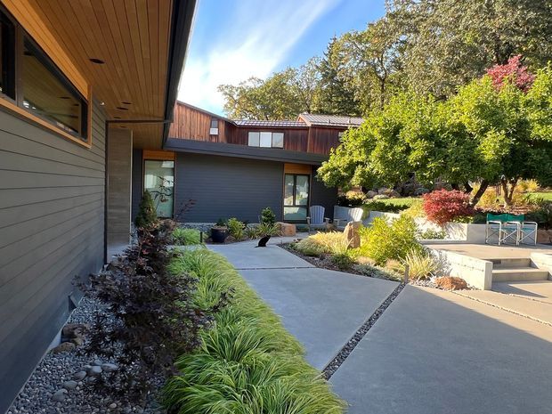 A landscaped residential courtyard between contemporary low-rise wings, viewed from an exterior walkway. The buildings feature dark horizontal cladding, timber soffits, broad glazing, and low-pitched metal roofs. Concrete paths and steps are bordered by dark pebble drainage strips and layered ornamental planting, with a small paved seating terrace at right.