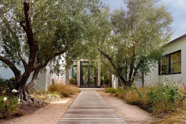 A landscaped approach to a contemporary residence, viewed from an outdoor garden path. A straight timber boardwalk leads through a dry, naturalistic garden of mature multi-trunk trees and ornamental grasses toward a glazed entry door. White rendered building wings frame the entrance, with dark-framed windows and a low-pitched roof visible on the right.