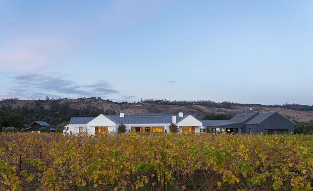 A low, contemporary rural property viewed across rows of a vineyard at dusk. The building combines pale rendered or masonry wings with dark grey metal-clad gabled volumes and pitched roofs, with warm light glowing from the windows. Rolling dry hills and sparse vegetation form the background.
