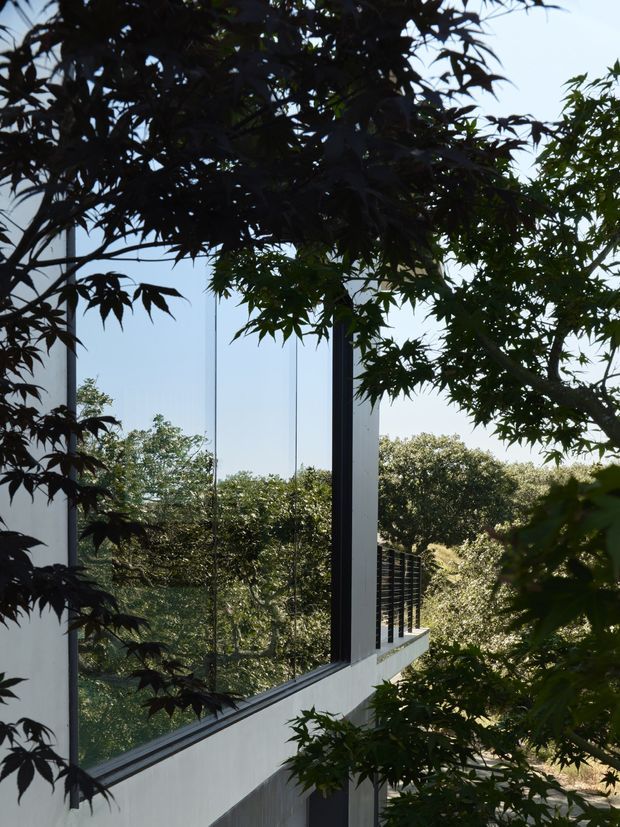 Exterior architectural view framed by dense foliage, showing a modern building with tall floor-to-ceiling glazing, slender dark window frames, white structural walls, and a projecting balcony or terrace with dark horizontal balustrading. The glazing reflects and overlooks a leafy landscape.