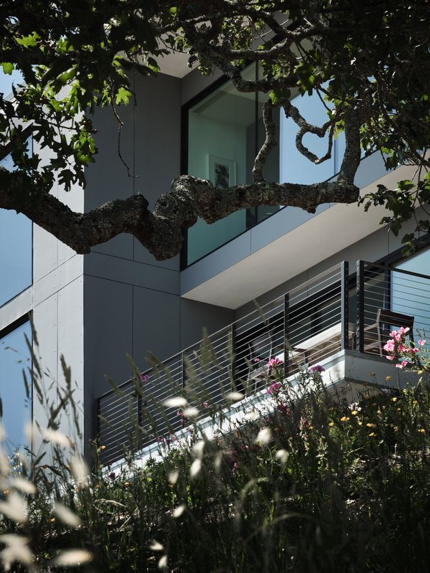Exterior architectural photograph of a contemporary multi-level residence viewed through mature tree branches and landscaped planting. The building has dark grey panelled walls, extensive angular glazing, projecting balconies, and slim horizontal metal balustrades. Bright daylight creates strong contrast between the shaded foliage and the modern facade.