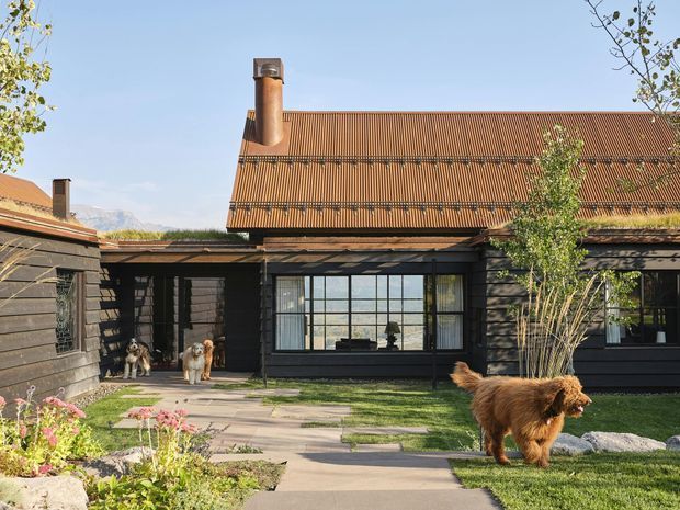 Single-storey dark-clad building viewed from a landscaped courtyard, with a prominent steep corrugated metal gable roof, brick chimney, black-framed grid windows, and an inviting paved path through lawn and planting. Several dogs are present in the courtyard. Mountains are faintly visible in the background.