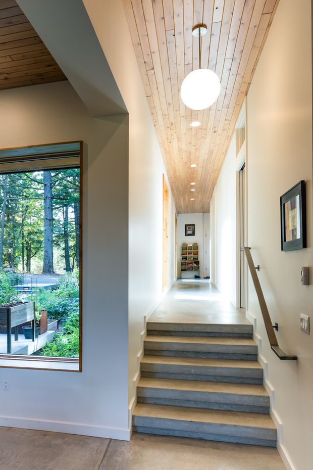Bright residential hallway with a short flight of concrete stairs, pale walls, a warm timber-plank ceiling, recessed and spherical pendant lighting, and a dark handrail. A large timber-framed window looks onto a leafy garden, while open doorways and shelving extend down the corridor.