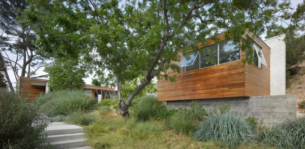 Exterior view of a compact contemporary building set into a landscaped, sloping site. The structure features warm horizontal timber cladding, a pale rendered or concrete side wall, expansive dark-framed glazing, and a substantial exposed concrete retaining wall. Concrete steps lead through dense native-style planting toward the building, which is partially screened by mature trees.