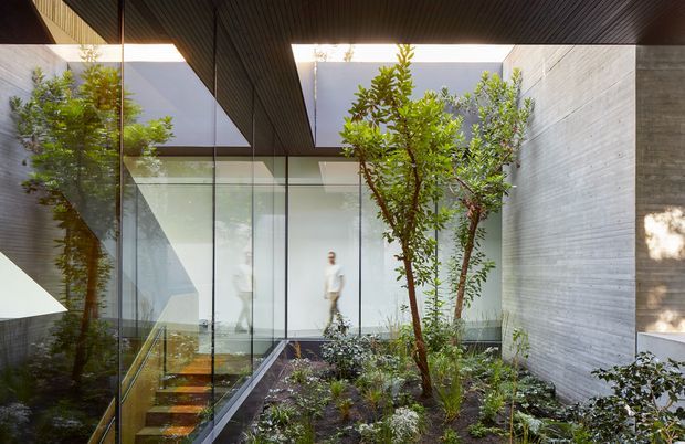A contemporary interior courtyard or atrium with a planted garden bed, slender trees, glass walls, a glazed stair enclosure, and exposed concrete walls. A dark linear ceiling features large rectangular skylight openings that bring strong natural light into the space. The composition emphasizes indoor-outdoor integration, reflective glazing, and minimalist architectural detailing.